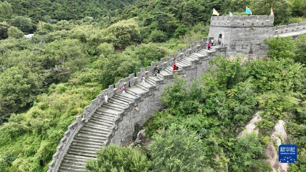 保时捷平台注册