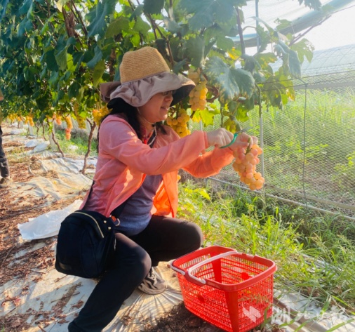奔驰宝马电玩城游戏下载